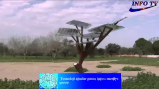 Texnoloji ağaclar günəş işığını enerjiyə çevirir