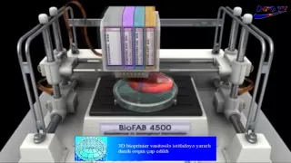 3D bioprinter vasitəsilə istifadəyə yararlı daxili orqan çap edildi