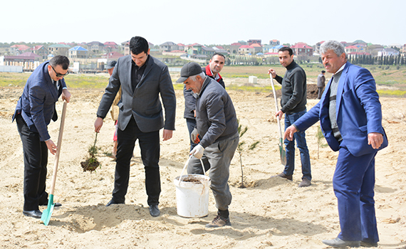 İnstitutun əməkdaşları “Science City”də keçirilən ağacəkmə kampaniyasında iştirak ediblər, Elm və Təhsil Nazirliyi, Elm ve Tehsil Nazirliyi, Azərbaycan Respublikası Elm və Təhsil Nazirliyi, Azerbaycan Respublikasi Elm ve Tehsil Nazirliyi, Elm və Ali Təhsil üzrə Dövlət Agentliyi, Elm və Ali Təhsil, AMEA, Azərbaycan Milli Elmlər Akademiyası, Elmler Akademiyasi, İnformasiya Texnologiyaları İnstitutu, İnformasiya Texnologiyaları, AMEA ITI, AMEA İTİ, İTİ, ITI, ikt.az, ict.az, ict, ikt, www.ict.az, www.ikt.az, Rasim Aliguliyev, Rasim Əliquliyev, RM Əliquliyev, Əliquliyev Rasim, Academician Rasim Aliguliyev