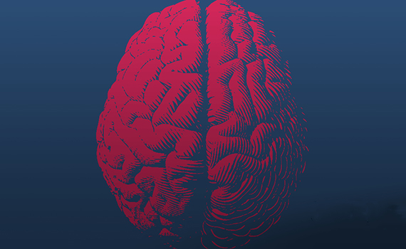 Neyronun biomorf modeli hazırlanıb, Elm və Təhsil Nazirliyi, Elm ve Tehsil Nazirliyi, Azərbaycan Respublikası Elm və Təhsil Nazirliyi, Azerbaycan Respublikasi Elm ve Tehsil Nazirliyi, Elm və Ali Təhsil üzrə Dövlət Agentliyi, Elm və Ali Təhsil, AMEA, Azərbaycan Milli Elmlər Akademiyası, Elmler Akademiyasi, İnformasiya Texnologiyaları İnstitutu, İnformasiya Texnologiyaları, AMEA ITI, AMEA İTİ, İTİ, ITI, ikt.az, ict.az, ict, ikt, www.ict.az, www.ikt.az, Rasim Aliguliyev, Rasim Əliquliyev, RM Əliquliyev, Əliquliyev Rasim, Academician Rasim Aliguliyev