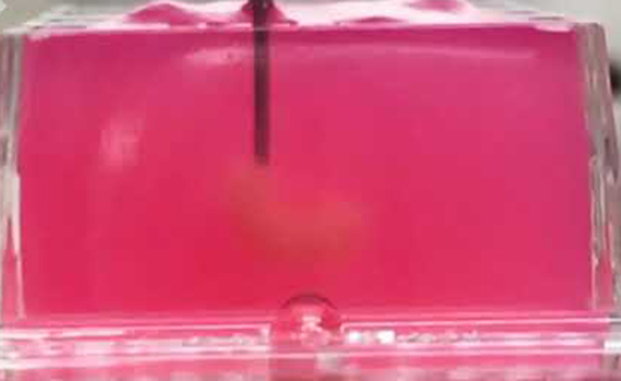 Orqanlar formalaşdırıcı əsas olmadan 3D-çap edilə bilər, Elm və Təhsil Nazirliyi, Elm ve Tehsil Nazirliyi, Azərbaycan Respublikası Elm və Təhsil Nazirliyi, Azerbaycan Respublikasi Elm ve Tehsil Nazirliyi, Elm və Ali Təhsil üzrə Dövlət Agentliyi, Elm və Ali Təhsil, AMEA, Azərbaycan Milli Elmlər Akademiyası, Elmler Akademiyasi, İnformasiya Texnologiyaları İnstitutu, İnformasiya Texnologiyaları, AMEA ITI, AMEA İTİ, İTİ, ITI, ikt.az, ict.az, ict, ikt, www.ict.az, www.ikt.az, Rasim Aliguliyev, Rasim Əliquliyev, RM Əliquliyev, Əliquliyev Rasim, Academician Rasim Aliguliyev