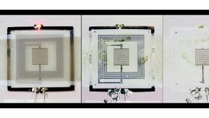 Özünü məhv edə bilən “casus” elektronikası yaradılıb, Elm və Təhsil Nazirliyi, Elm ve Tehsil Nazirliyi, Azərbaycan Respublikası Elm və Təhsil Nazirliyi, Azerbaycan Respublikasi Elm ve Tehsil Nazirliyi, Elm və Ali Təhsil üzrə Dövlət Agentliyi, Elm və Ali Təhsil, AMEA, Azərbaycan Milli Elmlər Akademiyası, Elmler Akademiyasi, İnformasiya Texnologiyaları İnstitutu, İnformasiya Texnologiyaları, AMEA ITI, AMEA İTİ, İTİ, ITI, ikt.az, ict.az, ict, ikt, www.ict.az, www.ikt.az, Rasim Aliguliyev, Rasim Əliquliyev, RM Əliquliyev, Əliquliyev Rasim, Academician Rasim Aliguliyev