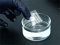 Soyuq suda həll olan çip hazırlanıb, Elm və Təhsil Nazirliyi, Elm ve Tehsil Nazirliyi, Azərbaycan Respublikası Elm və Təhsil Nazirliyi, Azerbaycan Respublikasi Elm ve Tehsil Nazirliyi, Elm və Ali Təhsil üzrə Dövlət Agentliyi, Elm və Ali Təhsil, AMEA, Azərbaycan Milli Elmlər Akademiyası, Elmler Akademiyasi, İnformasiya Texnologiyaları İnstitutu, İnformasiya Texnologiyaları, AMEA ITI, AMEA İTİ, İTİ, ITI, ikt.az, ict.az, ict, ikt, www.ict.az, www.ikt.az, Rasim Aliguliyev, Rasim Əliquliyev, RM Əliquliyev, Əliquliyev Rasim, Academician Rasim Aliguliyev