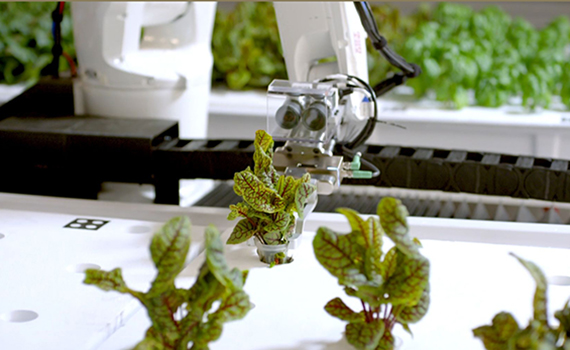 Robotlar tərəfindən yetişdirilən göyərti satışa çıxarılıb, Elm və Təhsil Nazirliyi, Elm ve Tehsil Nazirliyi, Azərbaycan Respublikası Elm və Təhsil Nazirliyi, Azerbaycan Respublikasi Elm ve Tehsil Nazirliyi, Elm və Ali Təhsil üzrə Dövlət Agentliyi, Elm və Ali Təhsil, AMEA, Azərbaycan Milli Elmlər Akademiyası, Elmler Akademiyasi, İnformasiya Texnologiyaları İnstitutu, İnformasiya Texnologiyaları, AMEA ITI, AMEA İTİ, İTİ, ITI, ikt.az, ict.az, ict, ikt, www.ict.az, www.ikt.az, Rasim Aliguliyev, Rasim Əliquliyev, RM Əliquliyev, Əliquliyev Rasim, Academician Rasim Aliguliyev