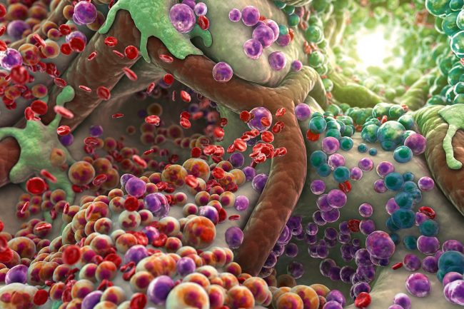 Новый микроскоп создаёт 3D-изображения клеток и органов