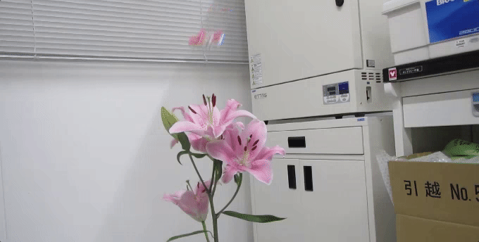 Yapon alimləri süni arıların yaradılması üzərində çalışırlar, Elm və Təhsil Nazirliyi, Elm ve Tehsil Nazirliyi, Azərbaycan Respublikası Elm və Təhsil Nazirliyi, Azerbaycan Respublikasi Elm ve Tehsil Nazirliyi, Elm və Ali Təhsil üzrə Dövlət Agentliyi, Elm və Ali Təhsil, AMEA, Azərbaycan Milli Elmlər Akademiyası, Elmler Akademiyasi, İnformasiya Texnologiyaları İnstitutu, İnformasiya Texnologiyaları, AMEA ITI, AMEA İTİ, İTİ, ITI, ikt.az, ict.az, ict, ikt, www.ict.az, www.ikt.az, Rasim Aliguliyev, Rasim Əliquliyev, RM Əliquliyev, Əliquliyev Rasim, Academician Rasim Aliguliyev