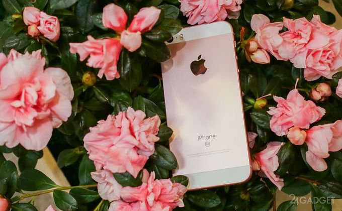 iPhone SE - istehlakçıların ən çox razı qaldığı smartfon, Elm və Təhsil Nazirliyi, Elm ve Tehsil Nazirliyi, Azərbaycan Respublikası Elm və Təhsil Nazirliyi, Azerbaycan Respublikasi Elm ve Tehsil Nazirliyi, Elm və Ali Təhsil üzrə Dövlət Agentliyi, Elm və Ali Təhsil, AMEA, Azərbaycan Milli Elmlər Akademiyası, Elmler Akademiyasi, İnformasiya Texnologiyaları İnstitutu, İnformasiya Texnologiyaları, AMEA ITI, AMEA İTİ, İTİ, ITI, ikt.az, ict.az, ict, ikt, www.ict.az, www.ikt.az, Rasim Aliguliyev, Rasim Əliquliyev, RM Əliquliyev, Əliquliyev Rasim, Academician Rasim Aliguliyev