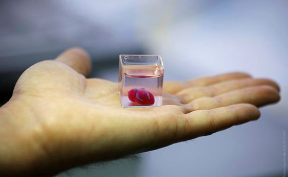 In Israel, for the first time in the world, a living heart was printed on a 3D printer