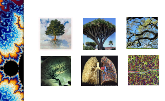 Qədim sənət nümunələrində fraktalların rolu araşdırılır, Elm və Təhsil Nazirliyi, Elm ve Tehsil Nazirliyi, Azərbaycan Respublikası Elm və Təhsil Nazirliyi, Azerbaycan Respublikasi Elm ve Tehsil Nazirliyi, Elm və Ali Təhsil üzrə Dövlət Agentliyi, Elm və Ali Təhsil, AMEA, Azərbaycan Milli Elmlər Akademiyası, Elmler Akademiyasi, İnformasiya Texnologiyaları İnstitutu, İnformasiya Texnologiyaları, AMEA ITI, AMEA İTİ, İTİ, ITI, ikt.az, ict.az, ict, ikt, www.ict.az, www.ikt.az, Rasim Aliguliyev, Rasim Əliquliyev, RM Əliquliyev, Əliquliyev Rasim, Academician Rasim Aliguliyev