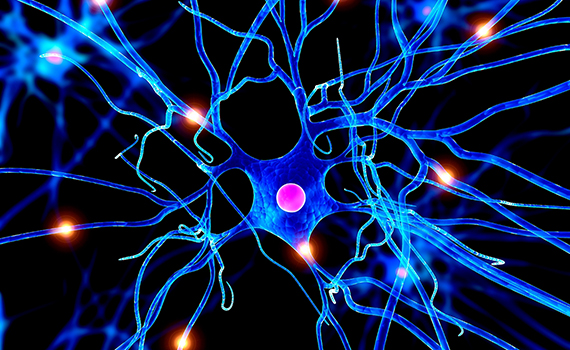 Süni intellekt fərdi xərçəng hüceyrələrini tanıyaraq rəqəmsal xəritələr hazırlayır, Elm və Təhsil Nazirliyi, Elm ve Tehsil Nazirliyi, Azərbaycan Respublikası Elm və Təhsil Nazirliyi, Azerbaycan Respublikasi Elm ve Tehsil Nazirliyi, Elm və Ali Təhsil üzrə Dövlət Agentliyi, Elm və Ali Təhsil, AMEA, Azərbaycan Milli Elmlər Akademiyası, Elmler Akademiyasi, İnformasiya Texnologiyaları İnstitutu, İnformasiya Texnologiyaları, AMEA ITI, AMEA İTİ, İTİ, ITI, ikt.az, ict.az, ict, ikt, www.ict.az, www.ikt.az, Rasim Aliguliyev, Rasim Əliquliyev, RM Əliquliyev, Əliquliyev Rasim, Academician Rasim Aliguliyev