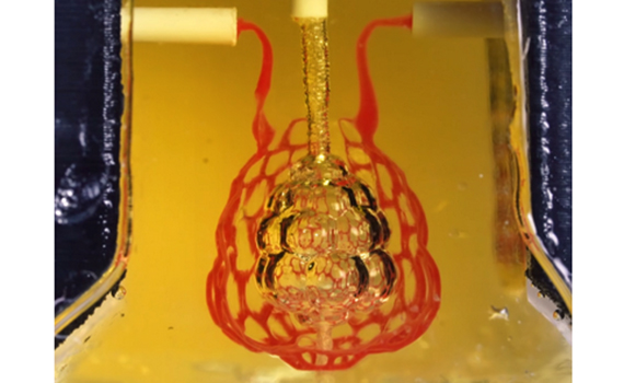 Scientists have made a breakthrough in the bioprinting of human organs