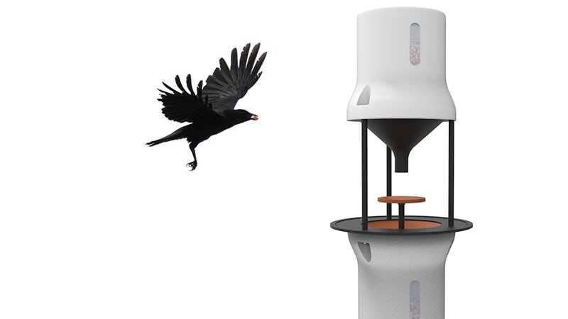 Qarğalara şəhər küçələrini təmizləmək öyrədiləcək, Elm və Təhsil Nazirliyi, Elm ve Tehsil Nazirliyi, Azərbaycan Respublikası Elm və Təhsil Nazirliyi, Azerbaycan Respublikasi Elm ve Tehsil Nazirliyi, Elm və Ali Təhsil üzrə Dövlət Agentliyi, Elm və Ali Təhsil, AMEA, Azərbaycan Milli Elmlər Akademiyası, Elmler Akademiyasi, İnformasiya Texnologiyaları İnstitutu, İnformasiya Texnologiyaları, AMEA ITI, AMEA İTİ, İTİ, ITI, ikt.az, ict.az, ict, ikt, www.ict.az, www.ikt.az, Rasim Aliguliyev, Rasim Əliquliyev, RM Əliquliyev, Əliquliyev Rasim, Academician Rasim Aliguliyev