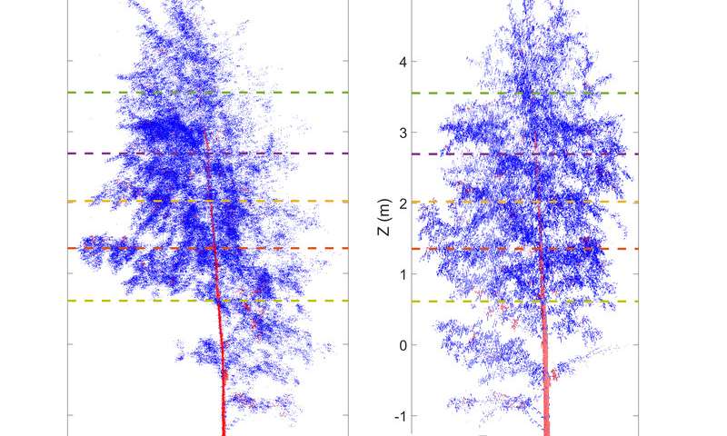 Ağacların hərəkət ritmini öyrənmək üçün lazer skanerindən istifadə olunub, Elm və Təhsil Nazirliyi, Elm ve Tehsil Nazirliyi, Azərbaycan Respublikası Elm və Təhsil Nazirliyi, Azerbaycan Respublikasi Elm ve Tehsil Nazirliyi, Elm və Ali Təhsil üzrə Dövlət Agentliyi, Elm və Ali Təhsil, AMEA, Azərbaycan Milli Elmlər Akademiyası, Elmler Akademiyasi, İnformasiya Texnologiyaları İnstitutu, İnformasiya Texnologiyaları, AMEA ITI, AMEA İTİ, İTİ, ITI, ikt.az, ict.az, ict, ikt, www.ict.az, www.ikt.az, Rasim Aliguliyev, Rasim Əliquliyev, RM Əliquliyev, Əliquliyev Rasim, Academician Rasim Aliguliyev