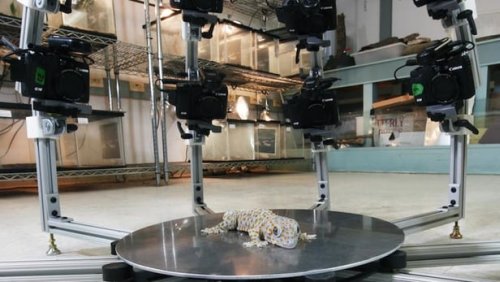 Yer kürəsində mövcud olan bütün canlı varlıqların üçölçülü modeli yaradılacaq, Elm və Təhsil Nazirliyi, Elm ve Tehsil Nazirliyi, Azərbaycan Respublikası Elm və Təhsil Nazirliyi, Azerbaycan Respublikasi Elm ve Tehsil Nazirliyi, Elm və Ali Təhsil üzrə Dövlət Agentliyi, Elm və Ali Təhsil, AMEA, Azərbaycan Milli Elmlər Akademiyası, Elmler Akademiyasi, İnformasiya Texnologiyaları İnstitutu, İnformasiya Texnologiyaları, AMEA ITI, AMEA İTİ, İTİ, ITI, ikt.az, ict.az, ict, ikt, www.ict.az, www.ikt.az, Rasim Aliguliyev, Rasim Əliquliyev, RM Əliquliyev, Əliquliyev Rasim, Academician Rasim Aliguliyev