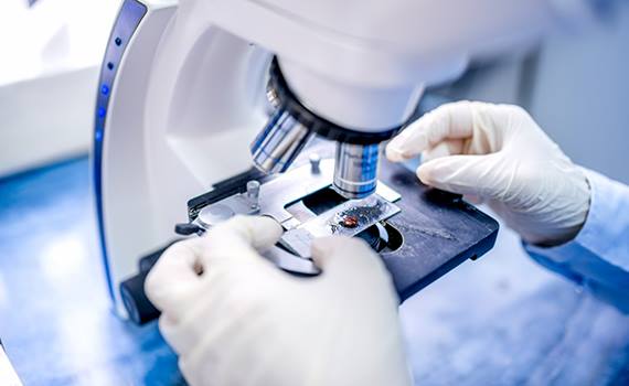 Süni intellekt təhlükəli bakteriyaları tanıyacaq, Elm və Təhsil Nazirliyi, Elm ve Tehsil Nazirliyi, Azərbaycan Respublikası Elm və Təhsil Nazirliyi, Azerbaycan Respublikasi Elm ve Tehsil Nazirliyi, Elm və Ali Təhsil üzrə Dövlət Agentliyi, Elm və Ali Təhsil, AMEA, Azərbaycan Milli Elmlər Akademiyası, Elmler Akademiyasi, İnformasiya Texnologiyaları İnstitutu, İnformasiya Texnologiyaları, AMEA ITI, AMEA İTİ, İTİ, ITI, ikt.az, ict.az, ict, ikt, www.ict.az, www.ikt.az, Rasim Aliguliyev, Rasim Əliquliyev, RM Əliquliyev, Əliquliyev Rasim, Academician Rasim Aliguliyev