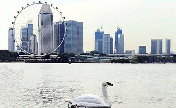 Robotic swans wil be used to control the quality of water