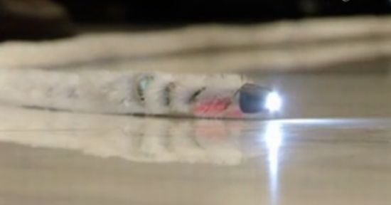 Robot-ilan xilasetmə işlərində kömək edəcək, Elm və Təhsil Nazirliyi, Elm ve Tehsil Nazirliyi, Azərbaycan Respublikası Elm və Təhsil Nazirliyi, Azerbaycan Respublikasi Elm ve Tehsil Nazirliyi, Elm və Ali Təhsil üzrə Dövlət Agentliyi, Elm və Ali Təhsil, AMEA, Azərbaycan Milli Elmlər Akademiyası, Elmler Akademiyasi, İnformasiya Texnologiyaları İnstitutu, İnformasiya Texnologiyaları, AMEA ITI, AMEA İTİ, İTİ, ITI, ikt.az, ict.az, ict, ikt, www.ict.az, www.ikt.az, Rasim Aliguliyev, Rasim Əliquliyev, RM Əliquliyev, Əliquliyev Rasim, Academician Rasim Aliguliyev