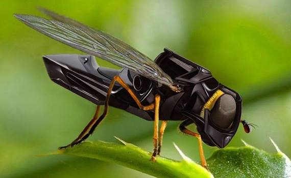 NASA Marsın tədqiqi üçün robot-arılar hazırlayır, Elm və Təhsil Nazirliyi, Elm ve Tehsil Nazirliyi, Azərbaycan Respublikası Elm və Təhsil Nazirliyi, Azerbaycan Respublikasi Elm ve Tehsil Nazirliyi, Elm və Ali Təhsil üzrə Dövlət Agentliyi, Elm və Ali Təhsil, AMEA, Azərbaycan Milli Elmlər Akademiyası, Elmler Akademiyasi, İnformasiya Texnologiyaları İnstitutu, İnformasiya Texnologiyaları, AMEA ITI, AMEA İTİ, İTİ, ITI, ikt.az, ict.az, ict, ikt, www.ict.az, www.ikt.az, Rasim Aliguliyev, Rasim Əliquliyev, RM Əliquliyev, Əliquliyev Rasim, Academician Rasim Aliguliyev