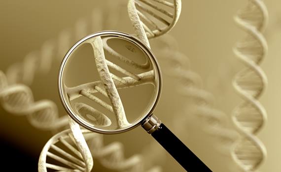 Израильские ученые создали атлас генома человека