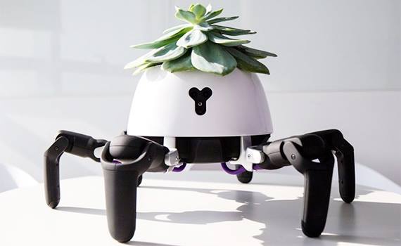 Robot-gardener helps to care for indoor plants