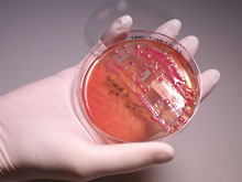 Yeni nəsil bio 3D printer insan dərisi, sümük və oynaq “çap edəcək”, Elm və Təhsil Nazirliyi, Elm ve Tehsil Nazirliyi, Azərbaycan Respublikası Elm və Təhsil Nazirliyi, Azerbaycan Respublikasi Elm ve Tehsil Nazirliyi, Elm və Ali Təhsil üzrə Dövlət Agentliyi, Elm və Ali Təhsil, AMEA, Azərbaycan Milli Elmlər Akademiyası, Elmler Akademiyasi, İnformasiya Texnologiyaları İnstitutu, İnformasiya Texnologiyaları, AMEA ITI, AMEA İTİ, İTİ, ITI, ikt.az, ict.az, ict, ikt, www.ict.az, www.ikt.az, Rasim Aliguliyev, Rasim Əliquliyev, RM Əliquliyev, Əliquliyev Rasim, Academician Rasim Aliguliyev