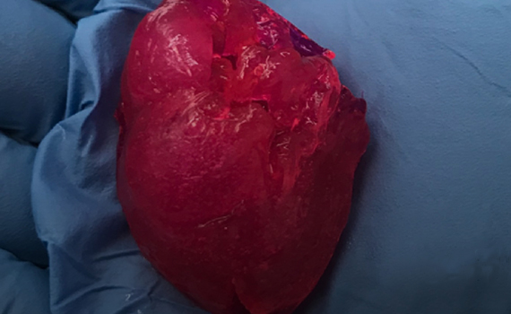 Mini ürək çap edilib, Elm və Təhsil Nazirliyi, Elm ve Tehsil Nazirliyi, Azərbaycan Respublikası Elm və Təhsil Nazirliyi, Azerbaycan Respublikasi Elm ve Tehsil Nazirliyi, Elm və Ali Təhsil üzrə Dövlət Agentliyi, Elm və Ali Təhsil, AMEA, Azərbaycan Milli Elmlər Akademiyası, Elmler Akademiyasi, İnformasiya Texnologiyaları İnstitutu, İnformasiya Texnologiyaları, AMEA ITI, AMEA İTİ, İTİ, ITI, ikt.az, ict.az, ict, ikt, www.ict.az, www.ikt.az, Rasim Aliguliyev, Rasim Əliquliyev, RM Əliquliyev, Əliquliyev Rasim, Academician Rasim Aliguliyev