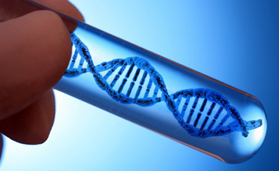 Unikal robotlar xərçəngin müalicəsində inqilab edəcəklər, Elm və Təhsil Nazirliyi, Elm ve Tehsil Nazirliyi, Azərbaycan Respublikası Elm və Təhsil Nazirliyi, Azerbaycan Respublikasi Elm ve Tehsil Nazirliyi, Elm və Ali Təhsil üzrə Dövlət Agentliyi, Elm və Ali Təhsil, AMEA, Azərbaycan Milli Elmlər Akademiyası, Elmler Akademiyasi, İnformasiya Texnologiyaları İnstitutu, İnformasiya Texnologiyaları, AMEA ITI, AMEA İTİ, İTİ, ITI, ikt.az, ict.az, ict, ikt, www.ict.az, www.ikt.az, Rasim Aliguliyev, Rasim Əliquliyev, RM Əliquliyev, Əliquliyev Rasim, Academician Rasim Aliguliyev