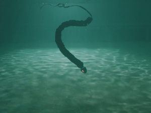 Eelume develops swimming robotic snake