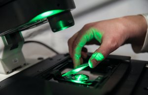 Ürəyin ritm pozğunluğunun müalicəsi üçün süni intellekt yaradılıb, Elm və Təhsil Nazirliyi, Elm ve Tehsil Nazirliyi, Azərbaycan Respublikası Elm və Təhsil Nazirliyi, Azerbaycan Respublikasi Elm ve Tehsil Nazirliyi, Elm və Ali Təhsil üzrə Dövlət Agentliyi, Elm və Ali Təhsil, AMEA, Azərbaycan Milli Elmlər Akademiyası, Elmler Akademiyasi, İnformasiya Texnologiyaları İnstitutu, İnformasiya Texnologiyaları, AMEA ITI, AMEA İTİ, İTİ, ITI, ikt.az, ict.az, ict, ikt, www.ict.az, www.ikt.az, Rasim Aliguliyev, Rasim Əliquliyev, RM Əliquliyev, Əliquliyev Rasim, Academician Rasim Aliguliyev