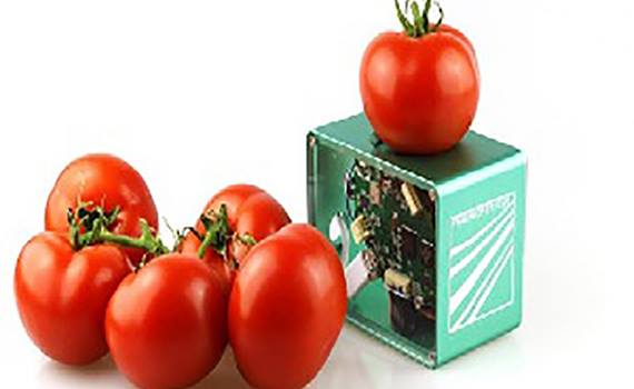 Məhsulların təzəliyini müəyyən edən cib skaneri təqdim olunub, Elm və Təhsil Nazirliyi, Elm ve Tehsil Nazirliyi, Azərbaycan Respublikası Elm və Təhsil Nazirliyi, Azerbaycan Respublikasi Elm ve Tehsil Nazirliyi, Elm və Ali Təhsil üzrə Dövlət Agentliyi, Elm və Ali Təhsil, AMEA, Azərbaycan Milli Elmlər Akademiyası, Elmler Akademiyasi, İnformasiya Texnologiyaları İnstitutu, İnformasiya Texnologiyaları, AMEA ITI, AMEA İTİ, İTİ, ITI, ikt.az, ict.az, ict, ikt, www.ict.az, www.ikt.az, Rasim Aliguliyev, Rasim Əliquliyev, RM Əliquliyev, Əliquliyev Rasim, Academician Rasim Aliguliyev