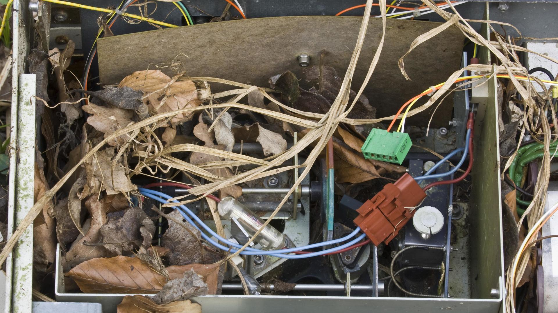 Tullantılardan robot hazırlanıb, Elm və Təhsil Nazirliyi, Elm ve Tehsil Nazirliyi, Azərbaycan Respublikası Elm və Təhsil Nazirliyi, Azerbaycan Respublikasi Elm ve Tehsil Nazirliyi, Elm və Ali Təhsil üzrə Dövlət Agentliyi, Elm və Ali Təhsil, AMEA, Azərbaycan Milli Elmlər Akademiyası, Elmler Akademiyasi, İnformasiya Texnologiyaları İnstitutu, İnformasiya Texnologiyaları, AMEA ITI, AMEA İTİ, İTİ, ITI, ikt.az, ict.az, ict, ikt, www.ict.az, www.ikt.az, Rasim Aliguliyev, Rasim Əliquliyev, RM Əliquliyev, Əliquliyev Rasim, Academician Rasim Aliguliyev