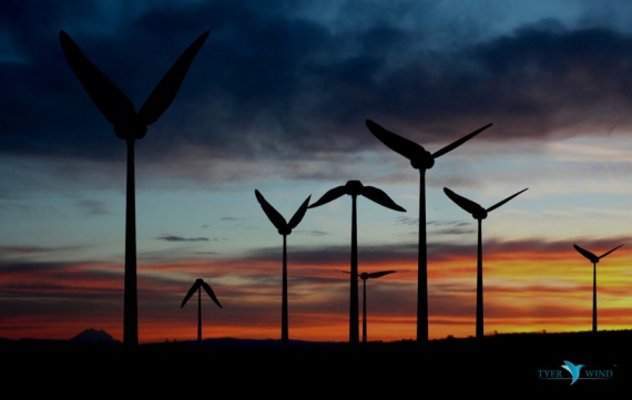 Külək turbinləri ekoloji təmiz enerjinin istehsalı üçün kolibri yamsılayırlar