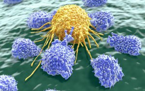 Artificial cell will destroy the tumor from the inside