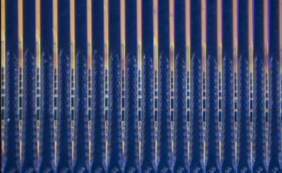 İflic olmuş insanlar elektron qurğular vasitəsilə ünsiyyət qura biləcəklər, Elm və Təhsil Nazirliyi, Elm ve Tehsil Nazirliyi, Azərbaycan Respublikası Elm və Təhsil Nazirliyi, Azerbaycan Respublikasi Elm ve Tehsil Nazirliyi, Elm və Ali Təhsil üzrə Dövlət Agentliyi, Elm və Ali Təhsil, AMEA, Azərbaycan Milli Elmlər Akademiyası, Elmler Akademiyasi, İnformasiya Texnologiyaları İnstitutu, İnformasiya Texnologiyaları, AMEA ITI, AMEA İTİ, İTİ, ITI, ikt.az, ict.az, ict, ikt, www.ict.az, www.ikt.az, Rasim Aliguliyev, Rasim Əliquliyev, RM Əliquliyev, Əliquliyev Rasim, Academician Rasim Aliguliyev