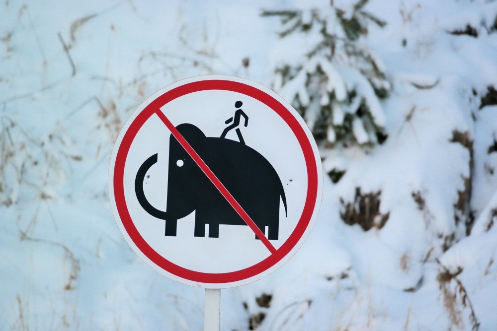 Kompüter qaranlıqda yol nişanlarını “görə biləcək”, Elm və Təhsil Nazirliyi, Elm ve Tehsil Nazirliyi, Azərbaycan Respublikası Elm və Təhsil Nazirliyi, Azerbaycan Respublikasi Elm ve Tehsil Nazirliyi, Elm və Ali Təhsil üzrə Dövlət Agentliyi, Elm və Ali Təhsil, AMEA, Azərbaycan Milli Elmlər Akademiyası, Elmler Akademiyasi, İnformasiya Texnologiyaları İnstitutu, İnformasiya Texnologiyaları, AMEA ITI, AMEA İTİ, İTİ, ITI, ikt.az, ict.az, ict, ikt, www.ict.az, www.ikt.az, Rasim Aliguliyev, Rasim Əliquliyev, RM Əliquliyev, Əliquliyev Rasim, Academician Rasim Aliguliyev