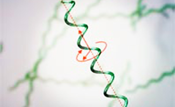 Robot-yosunlar insanları müalicə edəcək, Elm və Təhsil Nazirliyi, Elm ve Tehsil Nazirliyi, Azərbaycan Respublikası Elm və Təhsil Nazirliyi, Azerbaycan Respublikasi Elm ve Tehsil Nazirliyi, Elm və Ali Təhsil üzrə Dövlət Agentliyi, Elm və Ali Təhsil, AMEA, Azərbaycan Milli Elmlər Akademiyası, Elmler Akademiyasi, İnformasiya Texnologiyaları İnstitutu, İnformasiya Texnologiyaları, AMEA ITI, AMEA İTİ, İTİ, ITI, ikt.az, ict.az, ict, ikt, www.ict.az, www.ikt.az, Rasim Aliguliyev, Rasim Əliquliyev, RM Əliquliyev, Əliquliyev Rasim, Academician Rasim Aliguliyev