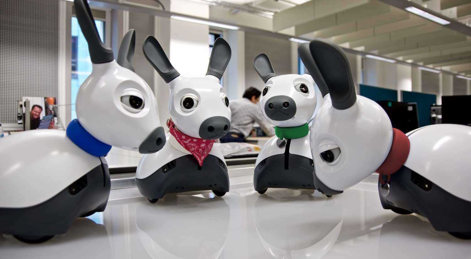 Robotic dogs will help older people