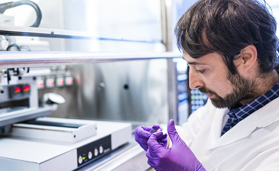 Alimlər toxumaların unikal regenerasiya texnologiyasını kəşf ediblər, Elm və Təhsil Nazirliyi, Elm ve Tehsil Nazirliyi, Azərbaycan Respublikası Elm və Təhsil Nazirliyi, Azerbaycan Respublikasi Elm ve Tehsil Nazirliyi, Elm və Ali Təhsil üzrə Dövlət Agentliyi, Elm və Ali Təhsil, AMEA, Azərbaycan Milli Elmlər Akademiyası, Elmler Akademiyasi, İnformasiya Texnologiyaları İnstitutu, İnformasiya Texnologiyaları, AMEA ITI, AMEA İTİ, İTİ, ITI, ikt.az, ict.az, ict, ikt, www.ict.az, www.ikt.az, Rasim Aliguliyev, Rasim Əliquliyev, RM Əliquliyev, Əliquliyev Rasim, Academician Rasim Aliguliyev