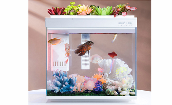 “Ağıllı” akvarium hazırlanıb, Elm və Təhsil Nazirliyi, Elm ve Tehsil Nazirliyi, Azərbaycan Respublikası Elm və Təhsil Nazirliyi, Azerbaycan Respublikasi Elm ve Tehsil Nazirliyi, Elm və Ali Təhsil üzrə Dövlət Agentliyi, Elm və Ali Təhsil, AMEA, Azərbaycan Milli Elmlər Akademiyası, Elmler Akademiyasi, İnformasiya Texnologiyaları İnstitutu, İnformasiya Texnologiyaları, AMEA ITI, AMEA İTİ, İTİ, ITI, ikt.az, ict.az, ict, ikt, www.ict.az, www.ikt.az, Rasim Aliguliyev, Rasim Əliquliyev, RM Əliquliyev, Əliquliyev Rasim, Academician Rasim Aliguliyev