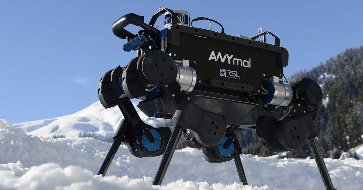 Süni intellekt sistemi robota ən ağır vəziyyətlərdən çıxmağa imkan verir, Elm və Təhsil Nazirliyi, Elm ve Tehsil Nazirliyi, Azərbaycan Respublikası Elm və Təhsil Nazirliyi, Azerbaycan Respublikasi Elm ve Tehsil Nazirliyi, Elm və Ali Təhsil üzrə Dövlət Agentliyi, Elm və Ali Təhsil, AMEA, Azərbaycan Milli Elmlər Akademiyası, Elmler Akademiyasi, İnformasiya Texnologiyaları İnstitutu, İnformasiya Texnologiyaları, AMEA ITI, AMEA İTİ, İTİ, ITI, ikt.az, ict.az, ict, ikt, www.ict.az, www.ikt.az, Rasim Aliguliyev, Rasim Əliquliyev, RM Əliquliyev, Əliquliyev Rasim, Academician Rasim Aliguliyev