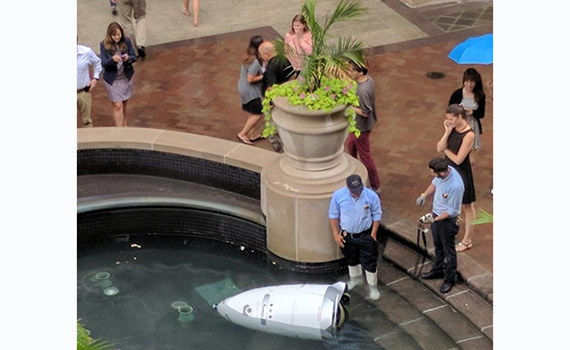 Robot-guard "drowned" in the fountain