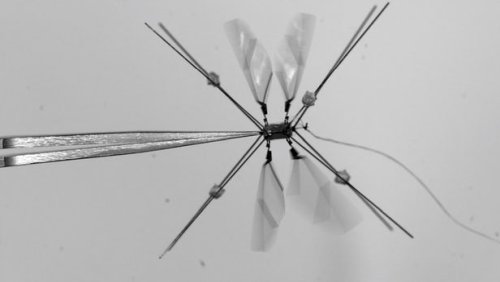 “RoboBee”nin təkmilləşdirilmiş versiyası təqdim olunub, Elm və Təhsil Nazirliyi, Elm ve Tehsil Nazirliyi, Azərbaycan Respublikası Elm və Təhsil Nazirliyi, Azerbaycan Respublikasi Elm ve Tehsil Nazirliyi, Elm və Ali Təhsil üzrə Dövlət Agentliyi, Elm və Ali Təhsil, AMEA, Azərbaycan Milli Elmlər Akademiyası, Elmler Akademiyasi, İnformasiya Texnologiyaları İnstitutu, İnformasiya Texnologiyaları, AMEA ITI, AMEA İTİ, İTİ, ITI, ikt.az, ict.az, ict, ikt, www.ict.az, www.ikt.az, Rasim Aliguliyev, Rasim Əliquliyev, RM Əliquliyev, Əliquliyev Rasim, Academician Rasim Aliguliyev