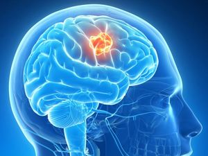 Beyin biometrik parol kimi istifadə olunacaq, Elm və Təhsil Nazirliyi, Elm ve Tehsil Nazirliyi, Azərbaycan Respublikası Elm və Təhsil Nazirliyi, Azerbaycan Respublikasi Elm ve Tehsil Nazirliyi, Elm və Ali Təhsil üzrə Dövlət Agentliyi, Elm və Ali Təhsil, AMEA, Azərbaycan Milli Elmlər Akademiyası, Elmler Akademiyasi, İnformasiya Texnologiyaları İnstitutu, İnformasiya Texnologiyaları, AMEA ITI, AMEA İTİ, İTİ, ITI, ikt.az, ict.az, ict, ikt, www.ict.az, www.ikt.az, Rasim Aliguliyev, Rasim Əliquliyev, RM Əliquliyev, Əliquliyev Rasim, Academician Rasim Aliguliyev