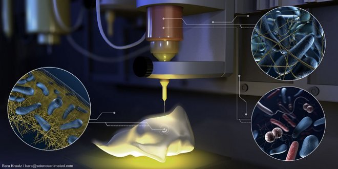 Swiss researchers created a 3D printer that prints live matter