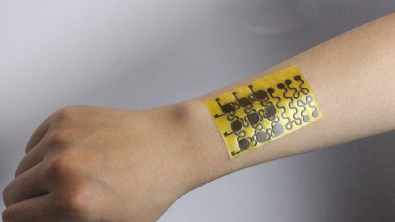 Scientists develop self-healing, recyclable 'electronic skin'