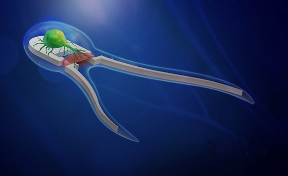 Neyron, süni əzələ və işıq siqnalların köməyi ilə hərəkət edən biorobot hazırlanıb, Elm və Təhsil Nazirliyi, Elm ve Tehsil Nazirliyi, Azərbaycan Respublikası Elm və Təhsil Nazirliyi, Azerbaycan Respublikasi Elm ve Tehsil Nazirliyi, Elm və Ali Təhsil üzrə Dövlət Agentliyi, Elm və Ali Təhsil, AMEA, Azərbaycan Milli Elmlər Akademiyası, Elmler Akademiyasi, İnformasiya Texnologiyaları İnstitutu, İnformasiya Texnologiyaları, AMEA ITI, AMEA İTİ, İTİ, ITI, ikt.az, ict.az, ict, ikt, www.ict.az, www.ikt.az, Rasim Aliguliyev, Rasim Əliquliyev, RM Əliquliyev, Əliquliyev Rasim, Academician Rasim Aliguliyev