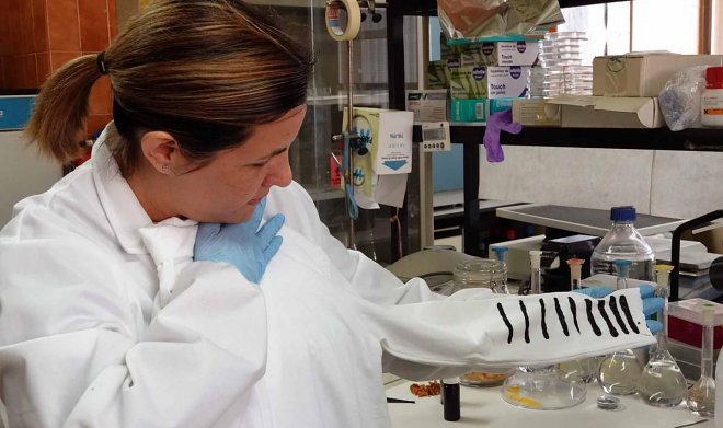 Elektrik enerjisi yaradan köynək hazırlanıb, Elm və Təhsil Nazirliyi, Elm ve Tehsil Nazirliyi, Azərbaycan Respublikası Elm və Təhsil Nazirliyi, Azerbaycan Respublikasi Elm ve Tehsil Nazirliyi, Elm və Ali Təhsil üzrə Dövlət Agentliyi, Elm və Ali Təhsil, AMEA, Azərbaycan Milli Elmlər Akademiyası, Elmler Akademiyasi, İnformasiya Texnologiyaları İnstitutu, İnformasiya Texnologiyaları, AMEA ITI, AMEA İTİ, İTİ, ITI, ikt.az, ict.az, ict, ikt, www.ict.az, www.ikt.az, Rasim Aliguliyev, Rasim Əliquliyev, RM Əliquliyev, Əliquliyev Rasim, Academician Rasim Aliguliyev