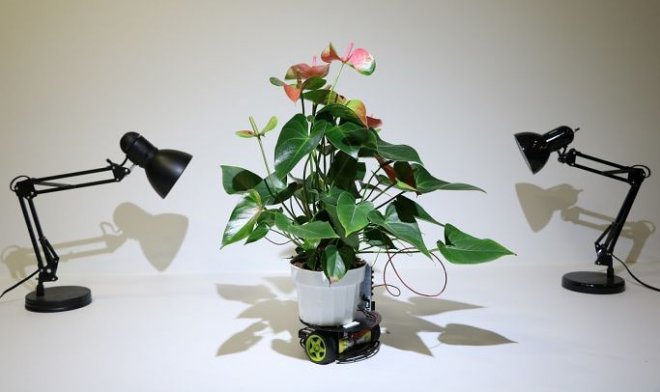 Bitkiləri böyüdən robot təqdim olunub, Elm və Təhsil Nazirliyi, Elm ve Tehsil Nazirliyi, Azərbaycan Respublikası Elm və Təhsil Nazirliyi, Azerbaycan Respublikasi Elm ve Tehsil Nazirliyi, Elm və Ali Təhsil üzrə Dövlət Agentliyi, Elm və Ali Təhsil, AMEA, Azərbaycan Milli Elmlər Akademiyası, Elmler Akademiyasi, İnformasiya Texnologiyaları İnstitutu, İnformasiya Texnologiyaları, AMEA ITI, AMEA İTİ, İTİ, ITI, ikt.az, ict.az, ict, ikt, www.ict.az, www.ikt.az, Rasim Aliguliyev, Rasim Əliquliyev, RM Əliquliyev, Əliquliyev Rasim, Academician Rasim Aliguliyev