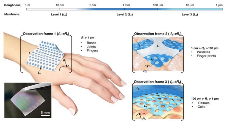 Koreya alimləri insan bədəninin istiliyini qadcetlər üçün elektrikə çeviriblər, Elm və Təhsil Nazirliyi, Elm ve Tehsil Nazirliyi, Azərbaycan Respublikası Elm və Təhsil Nazirliyi, Azerbaycan Respublikasi Elm ve Tehsil Nazirliyi, Elm və Ali Təhsil üzrə Dövlət Agentliyi, Elm və Ali Təhsil, AMEA, Azərbaycan Milli Elmlər Akademiyası, Elmler Akademiyasi, İnformasiya Texnologiyaları İnstitutu, İnformasiya Texnologiyaları, AMEA ITI, AMEA İTİ, İTİ, ITI, ikt.az, ict.az, ict, ikt, www.ict.az, www.ikt.az, Rasim Aliguliyev, Rasim Əliquliyev, RM Əliquliyev, Əliquliyev Rasim, Academician Rasim Aliguliyev