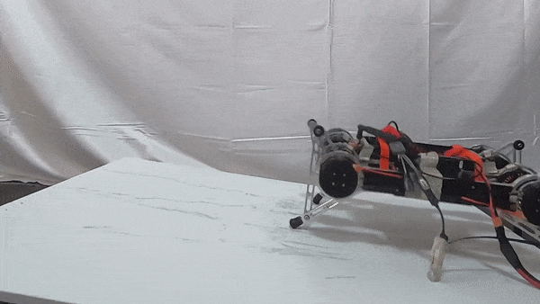 Süni intellekt robotlara hərəkət etməyi öyrədir, Elm və Təhsil Nazirliyi, Elm ve Tehsil Nazirliyi, Azərbaycan Respublikası Elm və Təhsil Nazirliyi, Azerbaycan Respublikasi Elm ve Tehsil Nazirliyi, Elm və Ali Təhsil üzrə Dövlət Agentliyi, Elm və Ali Təhsil, AMEA, Azərbaycan Milli Elmlər Akademiyası, Elmler Akademiyasi, İnformasiya Texnologiyaları İnstitutu, İnformasiya Texnologiyaları, AMEA ITI, AMEA İTİ, İTİ, ITI, ikt.az, ict.az, ict, ikt, www.ict.az, www.ikt.az, Rasim Aliguliyev, Rasim Əliquliyev, RM Əliquliyev, Əliquliyev Rasim, Academician Rasim Aliguliyev